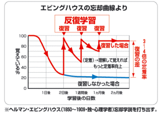 エビングハウス.gif