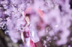 コスプレ桜祭.jpg